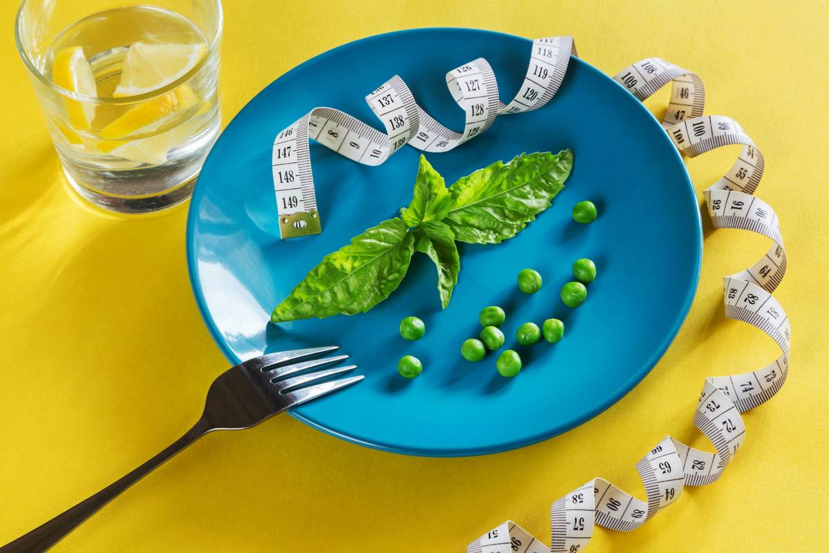 Metabolism Communication Plans: The Overlooked Key to Sustainable Weight Loss with L-Carnitine