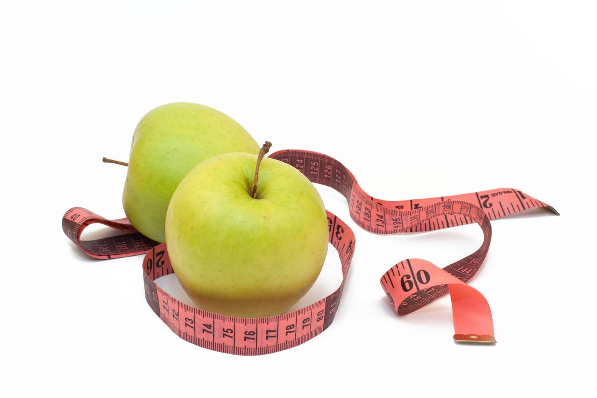 Why Your Fat Burner Communication Plans Are Failing (And How L-Carnitine Changes the Game)